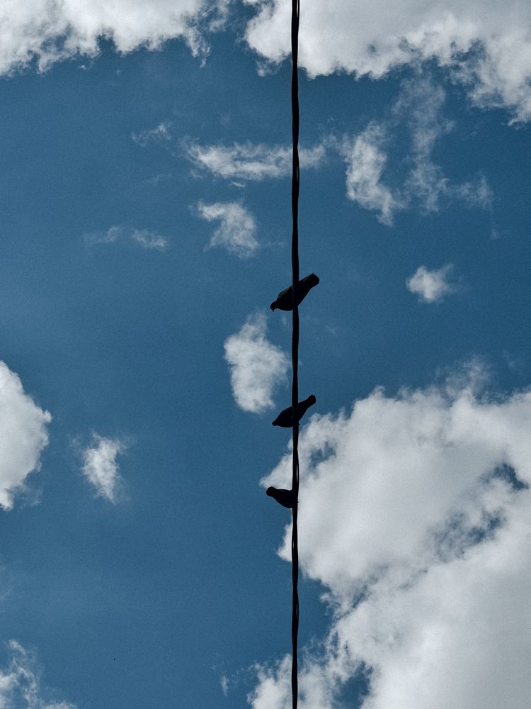 Photograph by Айла Олифер