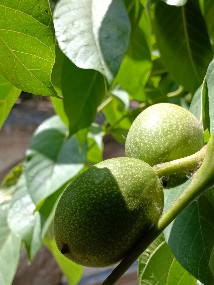 Photograph by Максим Бычин