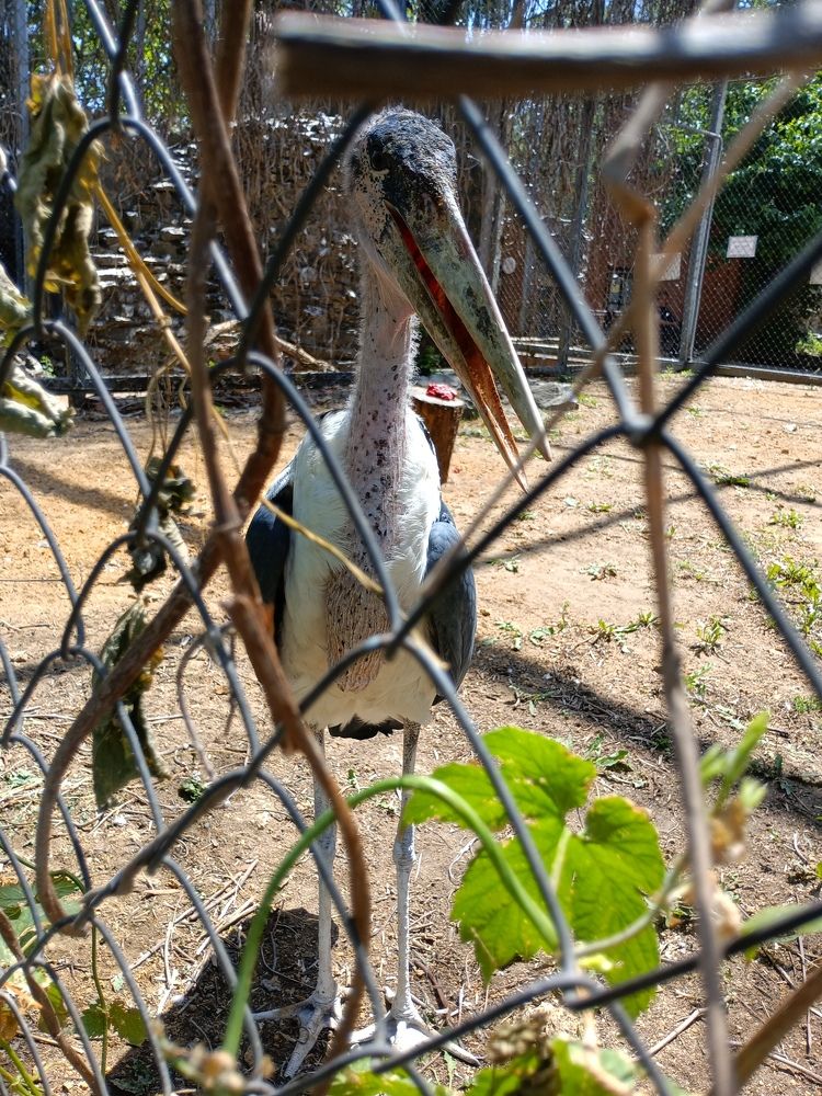 Photograph by Максим Бычин