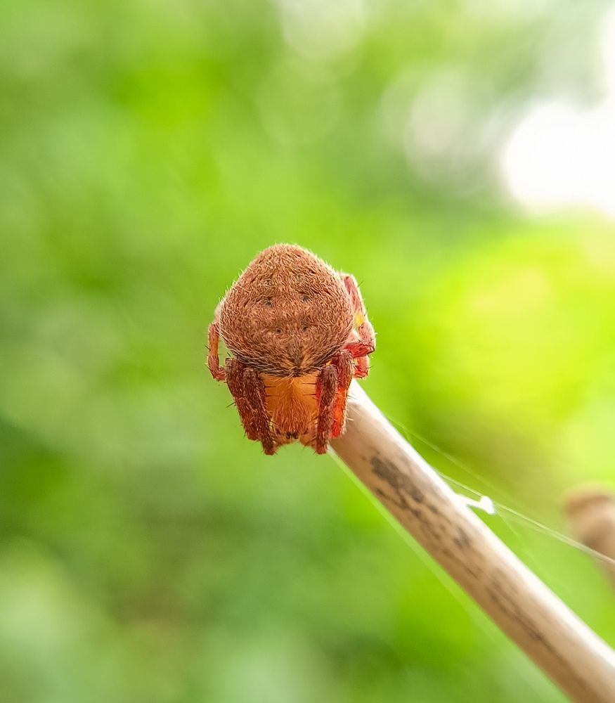 Photograph by Souvik Bhattacharyya
