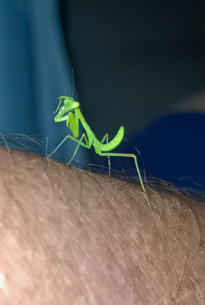 Photograph by Максим Бычин