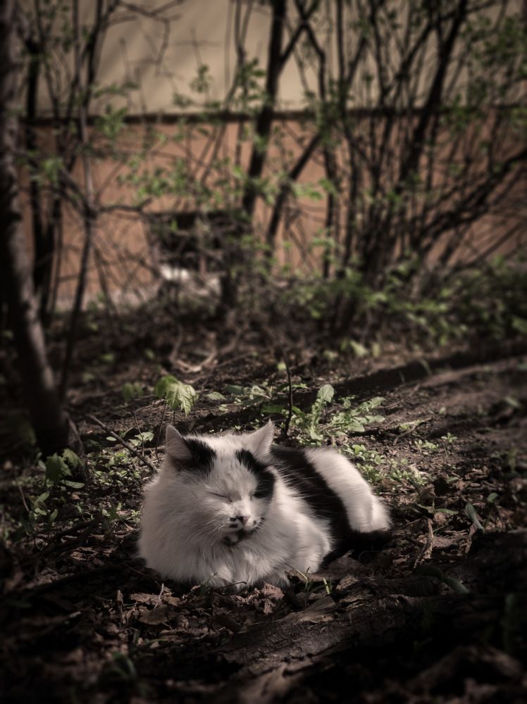 Фотография автора Дмитрий Овчинников