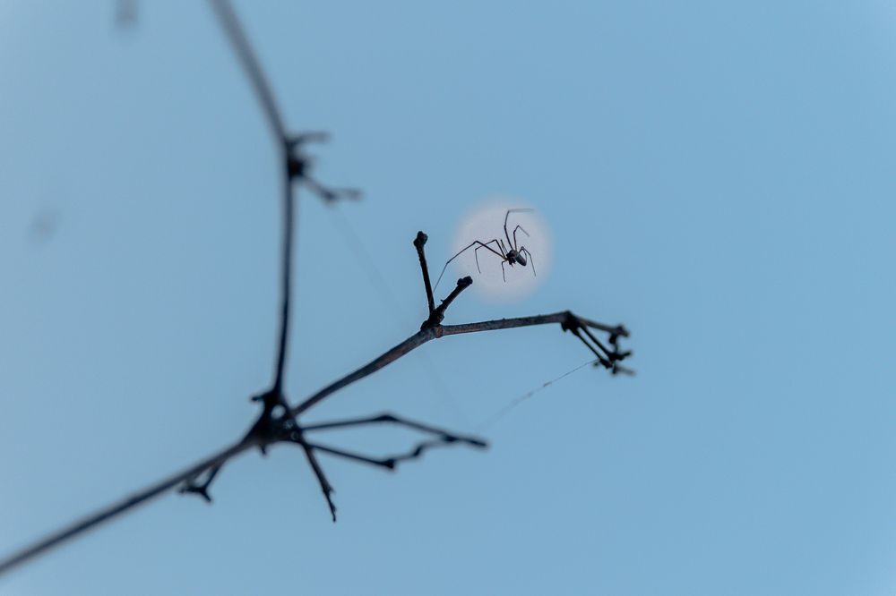 Фотография автора Shuvadeep Paul