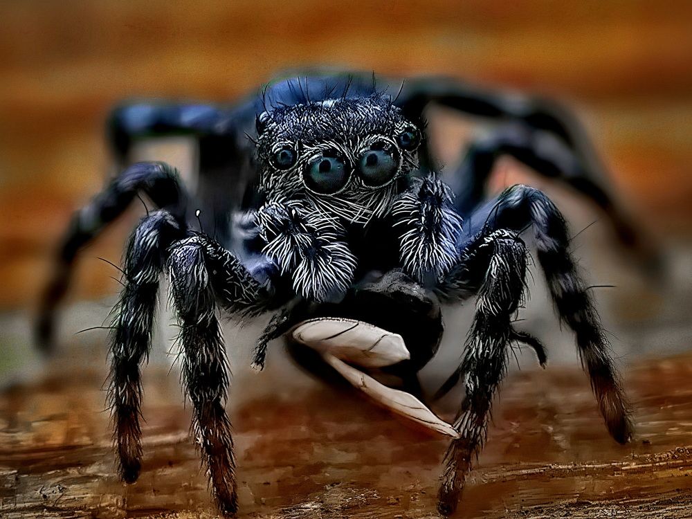 Photograph by Кузнецов Дмитрий