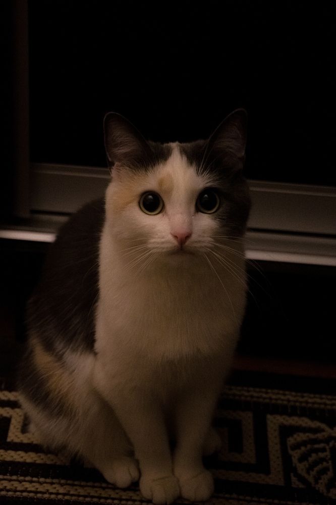 Photograph by Артем Порубаев