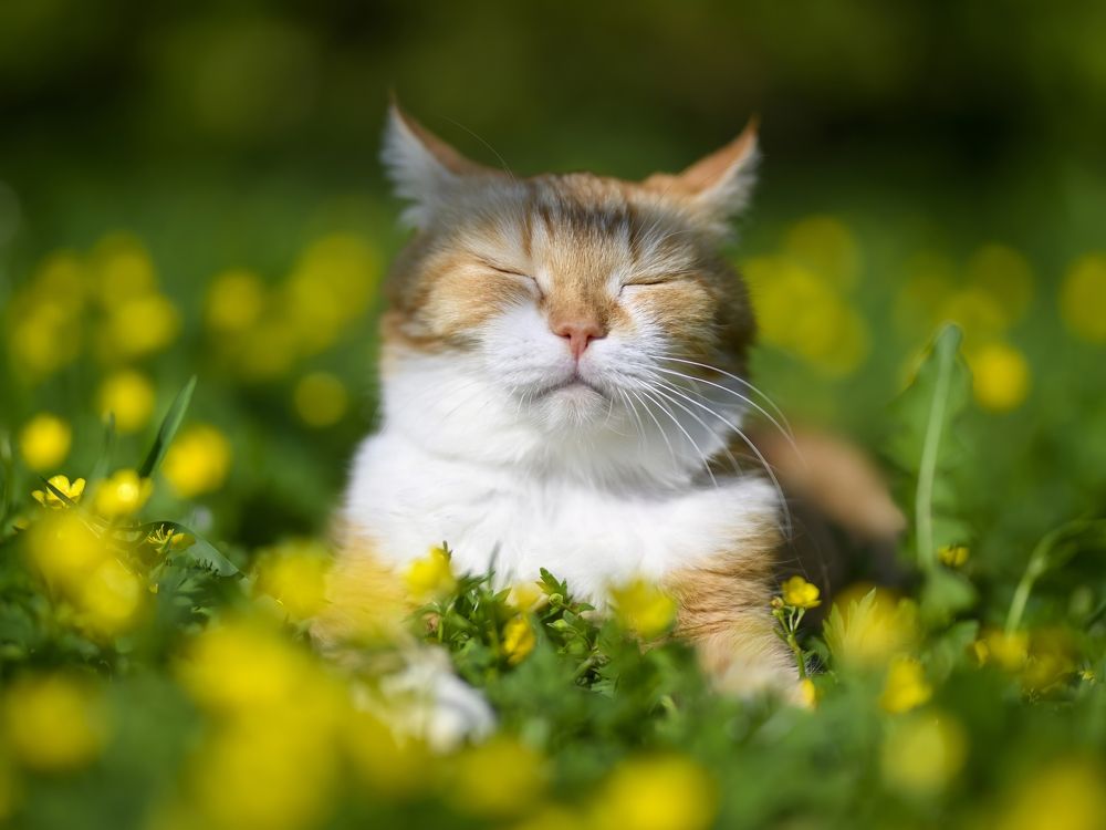 Photograph by Пупонин Сергей