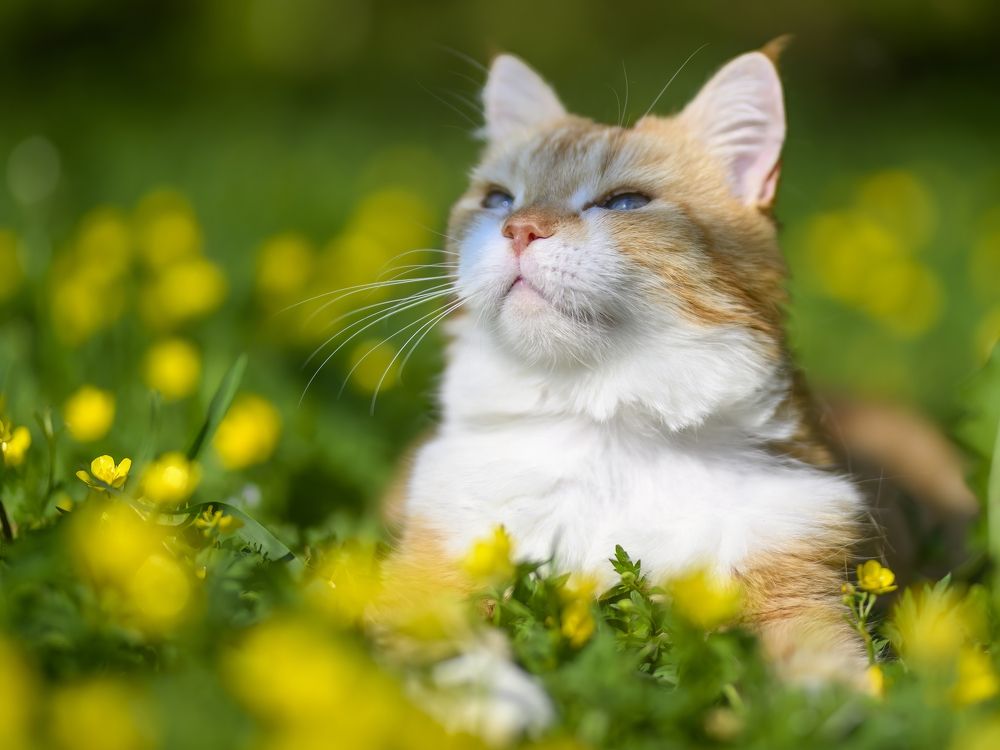 Photograph by Пупонин Сергей