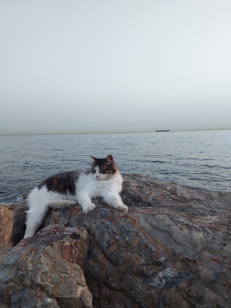 Photograph by Анастасия