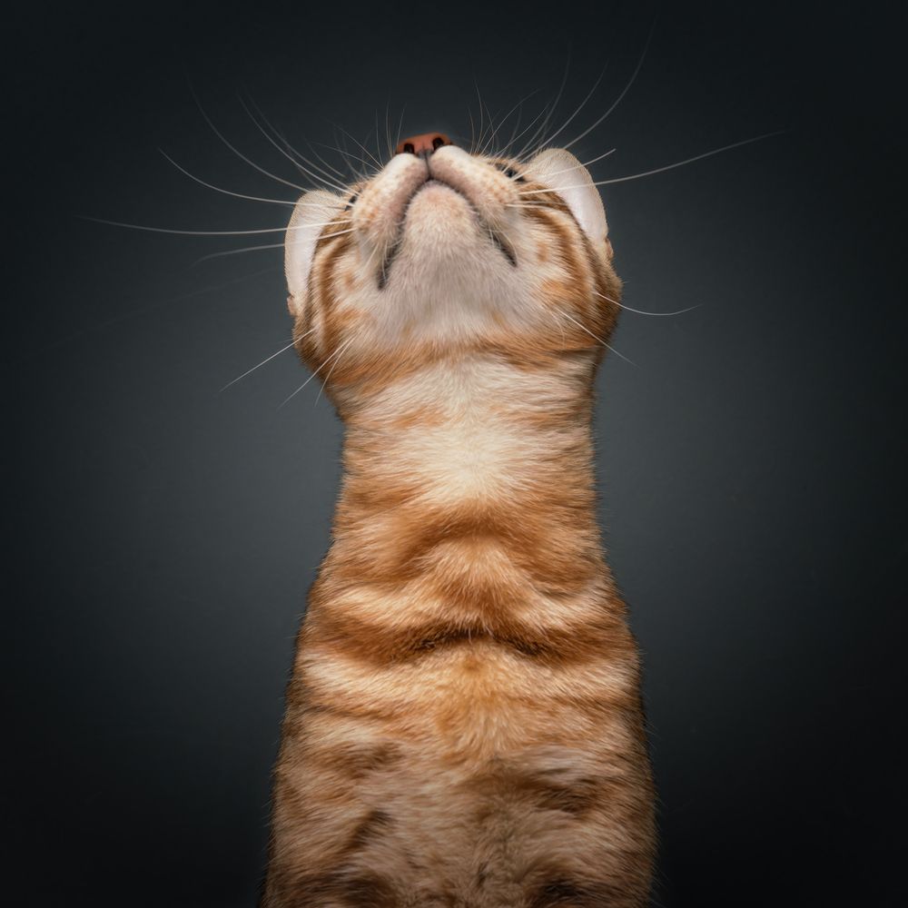 Photograph by Bernard Sim