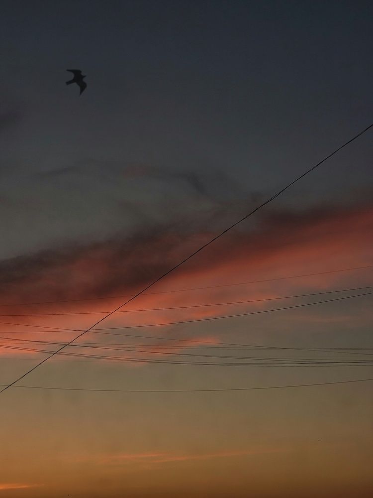 Фотография автора Ольга Игуменова