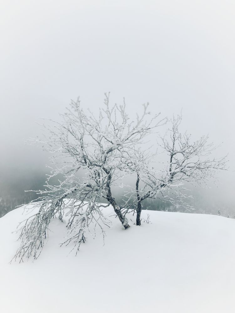 Фотография автора Дарья Кузнецова
