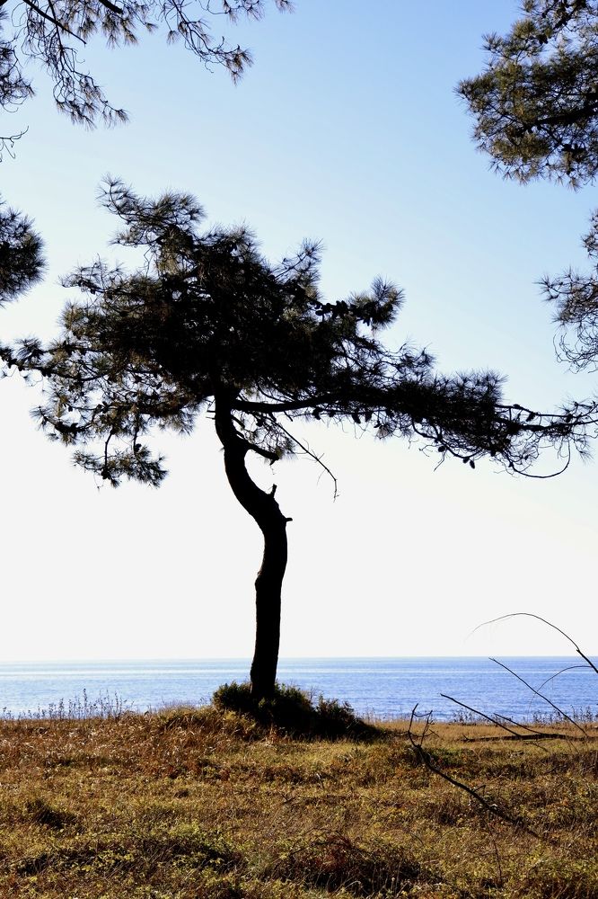 Photograph by Евгения Казакова