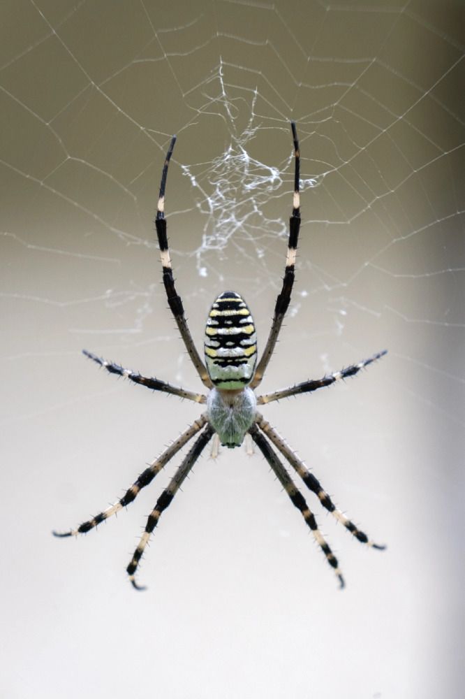 Photograph by Екатерина Загородина