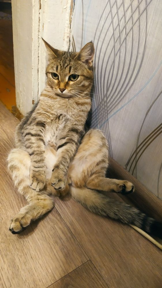 Photograph by Наталья