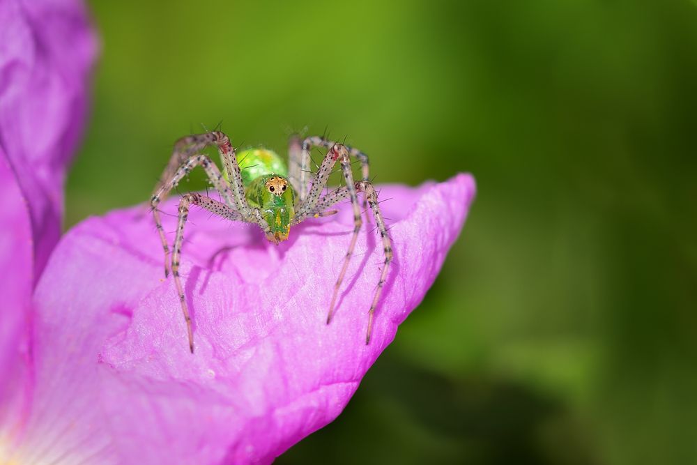 Photograph by Eren Aksoylu