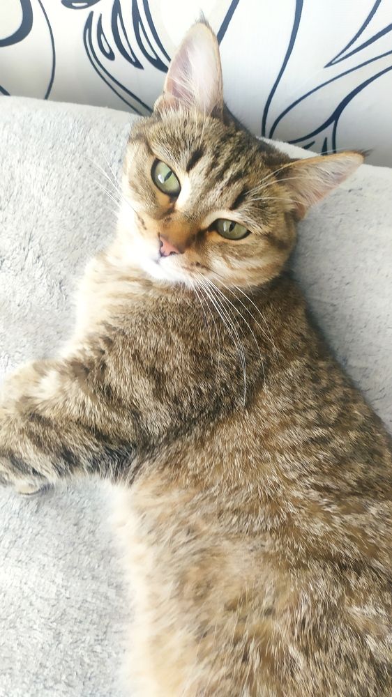 Photograph by Наталья