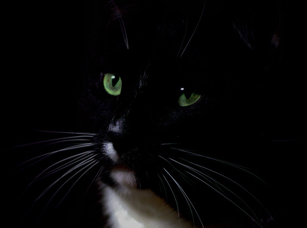 Photograph by Елена Казакова