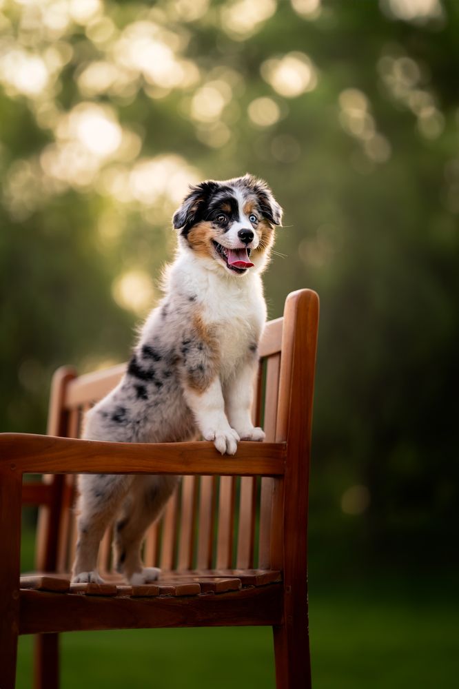 Photograph by Nicoletta Obradovic