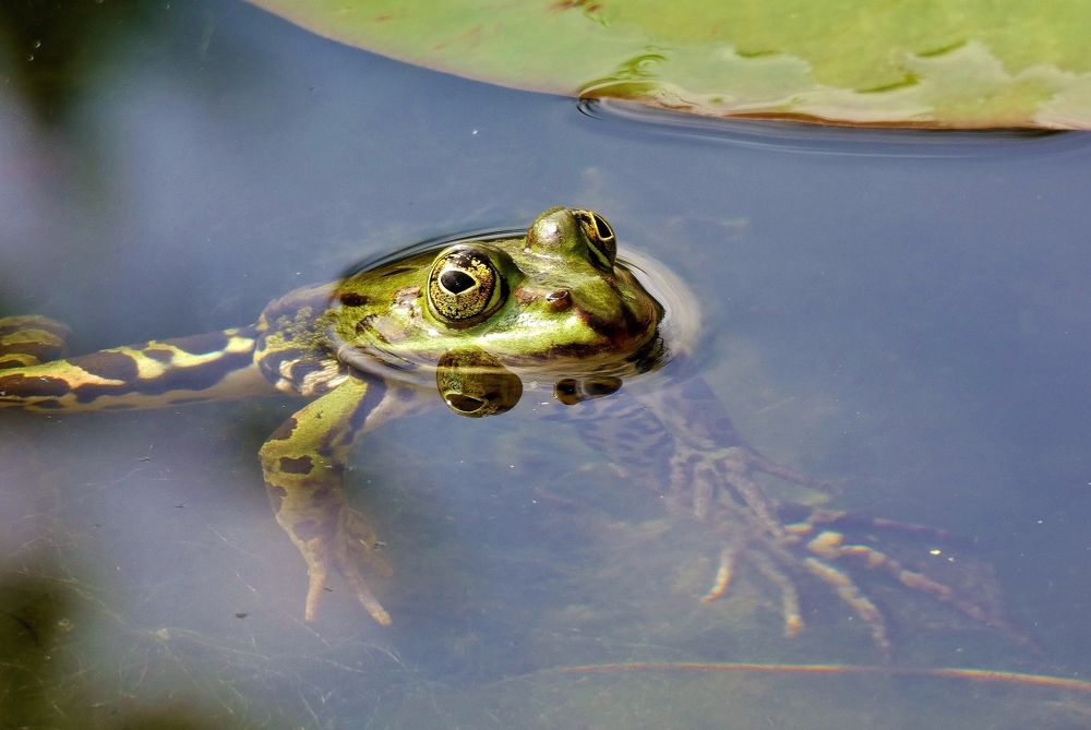 Photograph by backareva irina