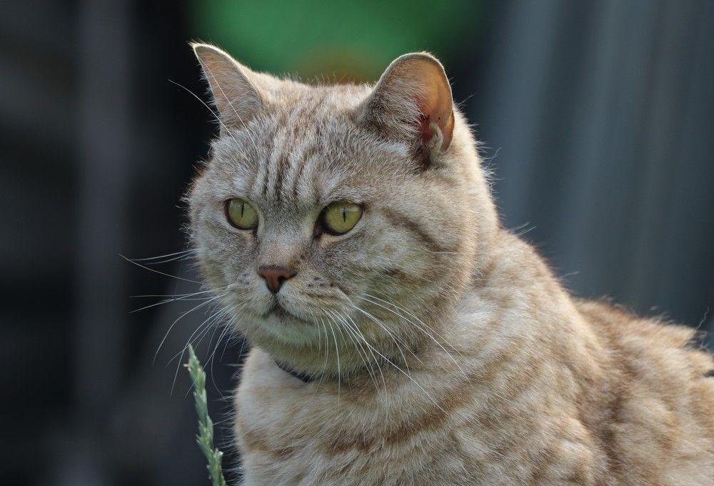 Photograph by Галина Мазур