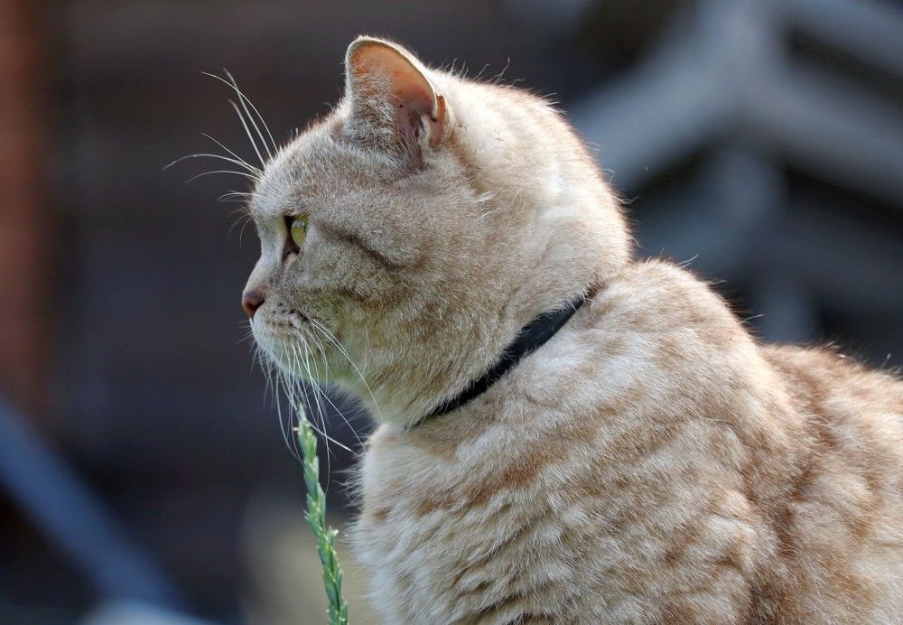 Photograph by Галина Мазур