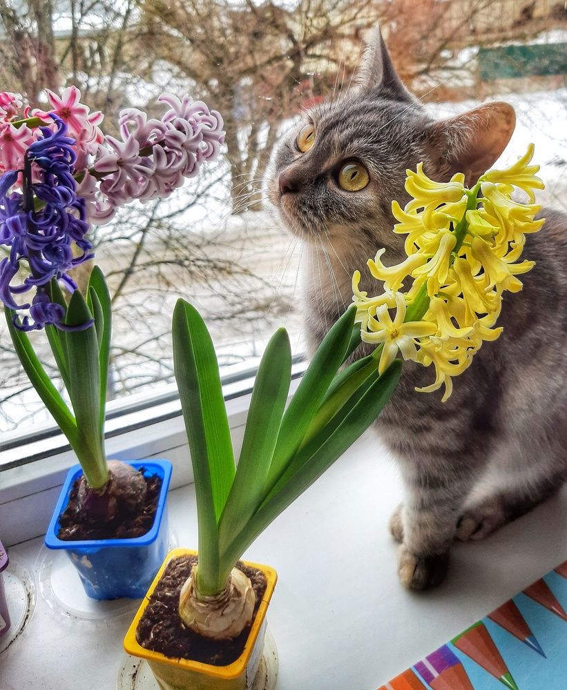 Photograph by Юлия Коробкова