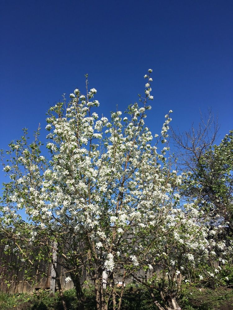 Природа проснулась после зимы