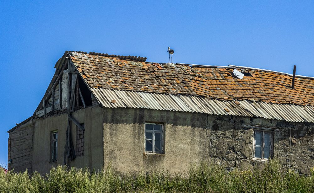 Photograph by Alex Kalpus