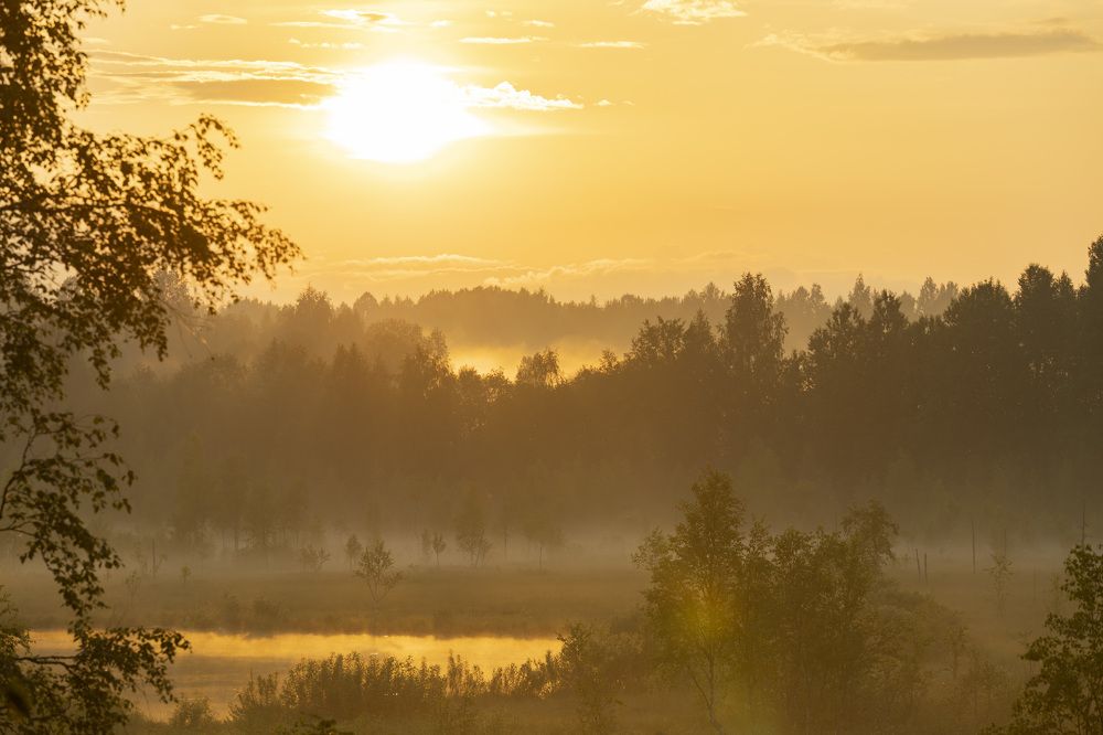 Photograph by Максим Григорьев
