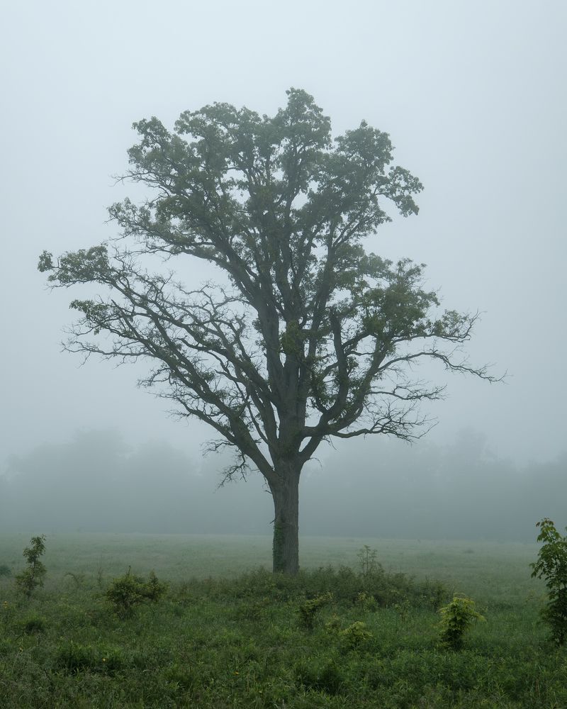 Photograph by Greg Noakes