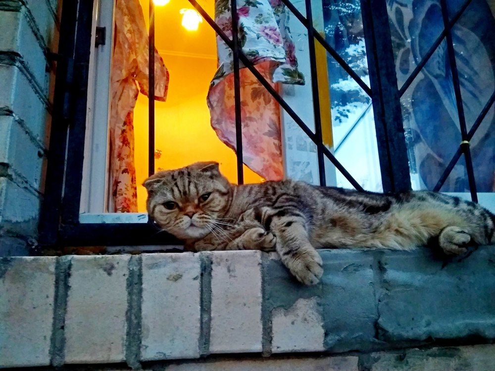 Photograph by Елена Казарина