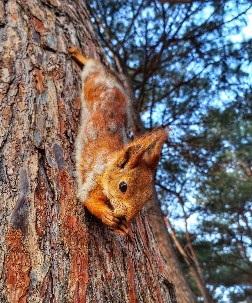 Photograph by Юлия Коробкова