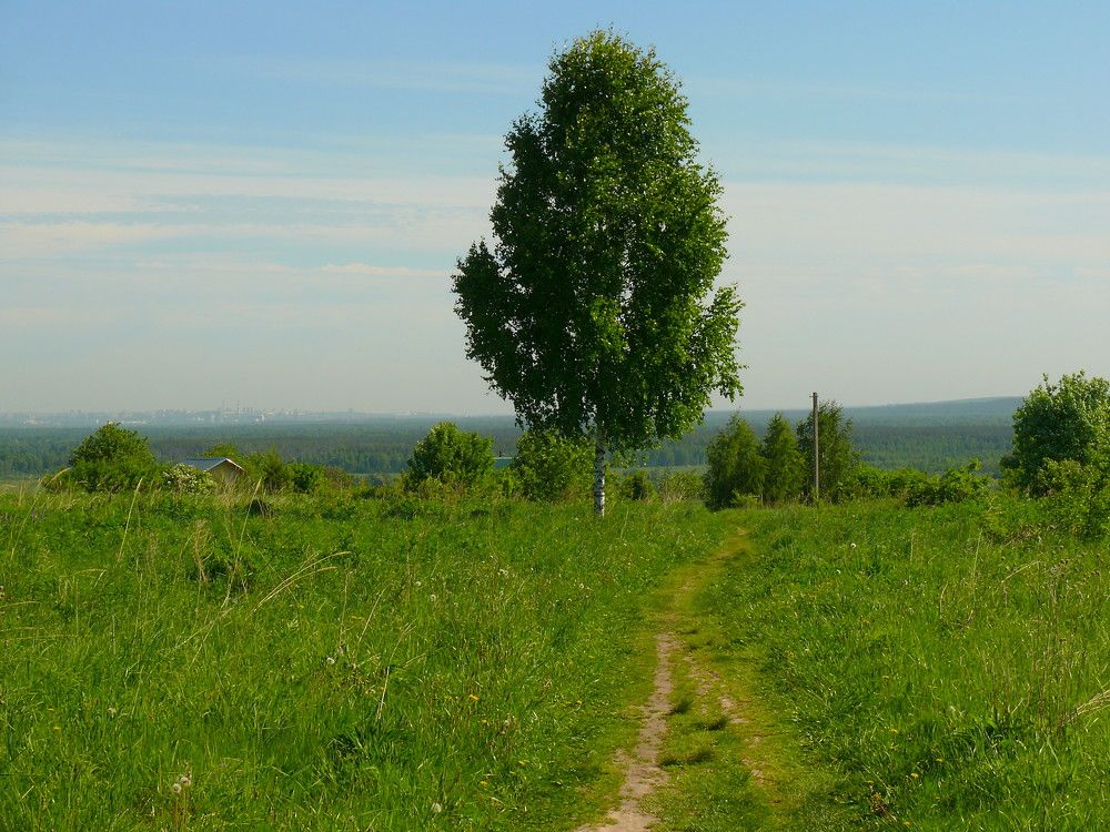 Фотография автора Анатолий Борисов