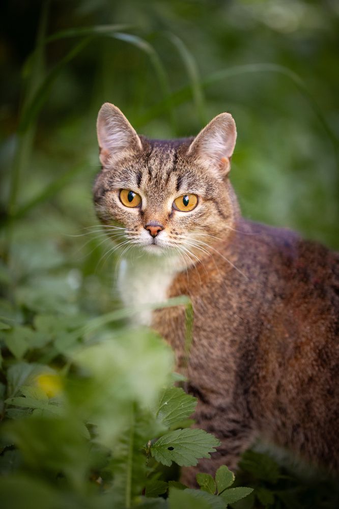 Photograph by Мария Кольцова