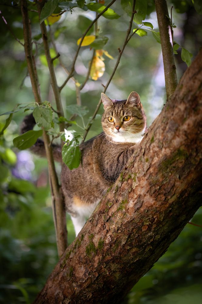 Photograph by Мария Кольцова