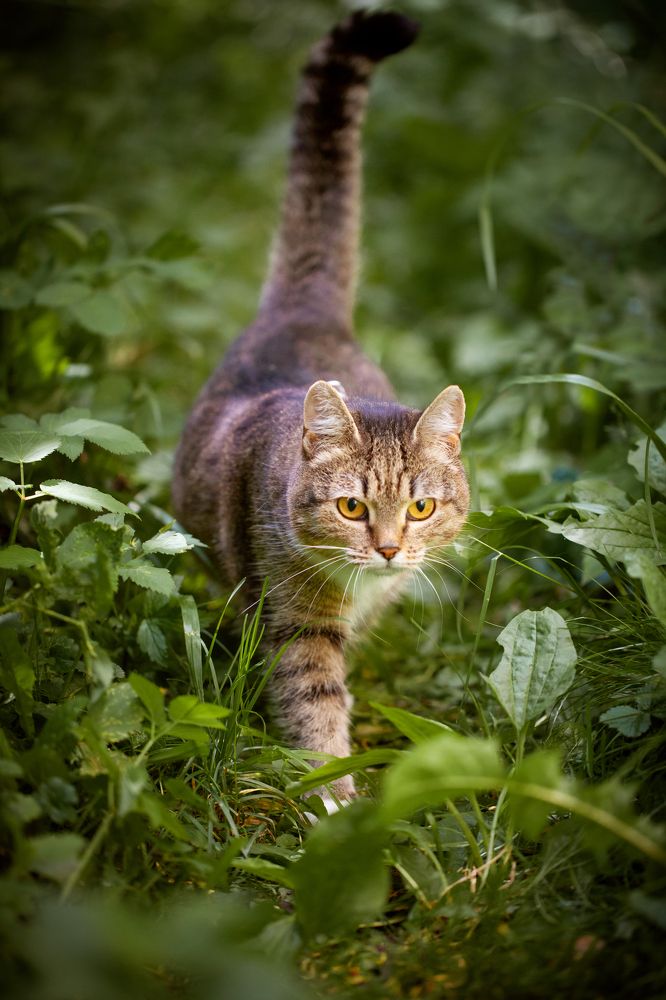 Photograph by Мария Кольцова