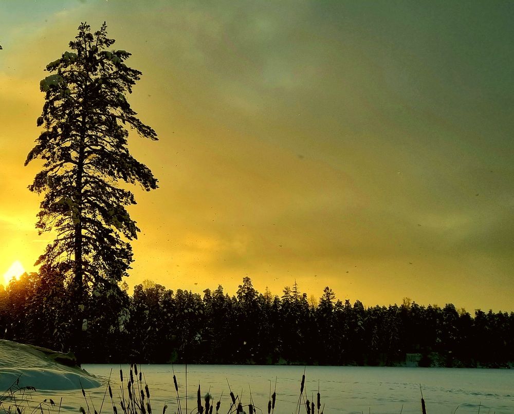 Photograph by Максим Иванов