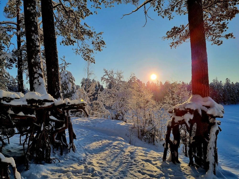 Photograph by Максим Иванов