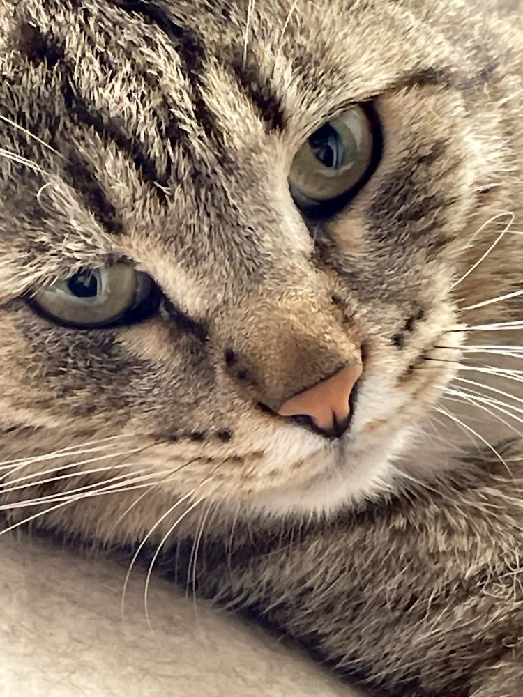 Фотография автора Рамзия Хисамутдинова