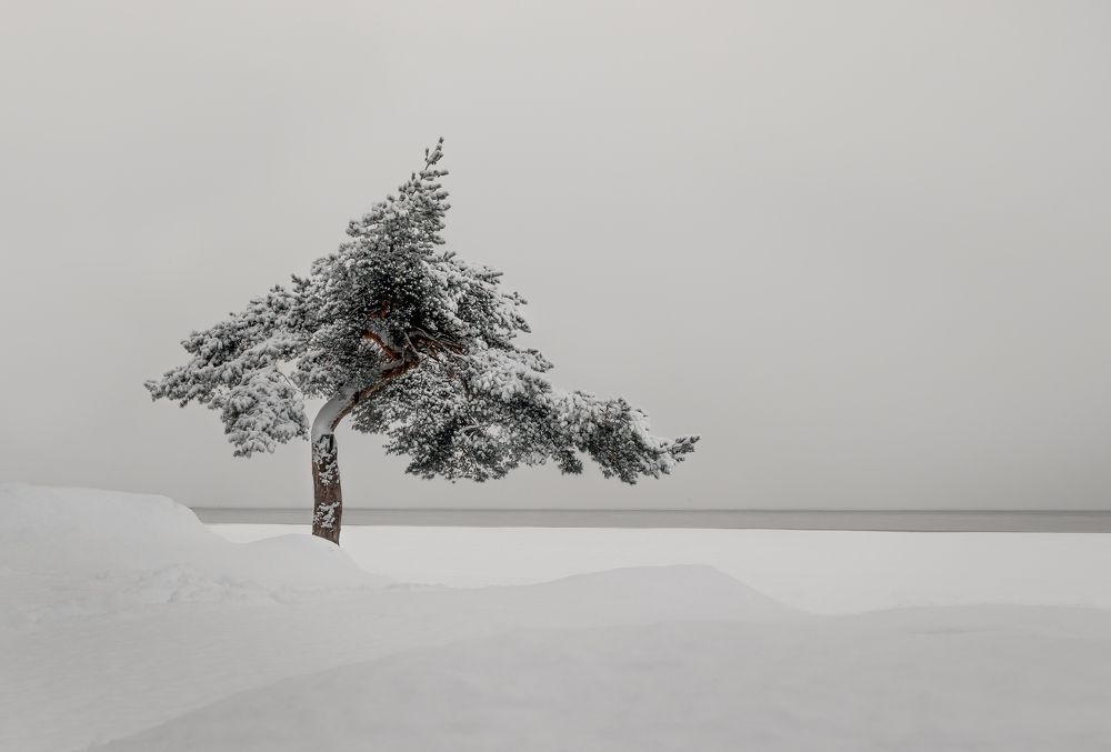 Photograph by Анна Пундалова