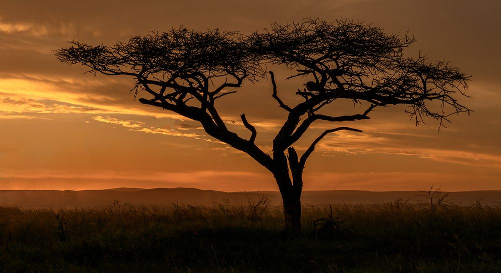 African sunset