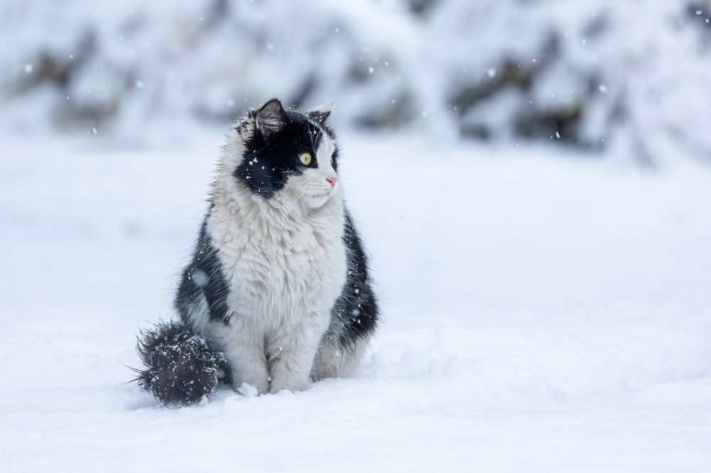 Photograph by Vida Shams