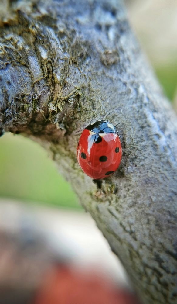 Photograph by Ольга Романова