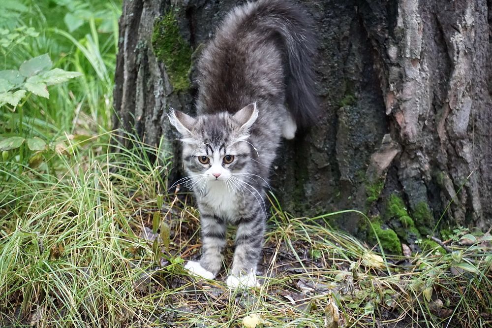 Photograph by Галина Кан