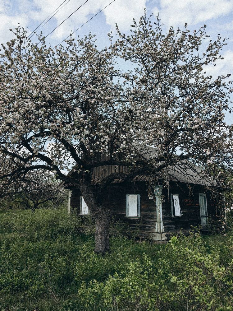 Фотография автора Ольга Панасюк