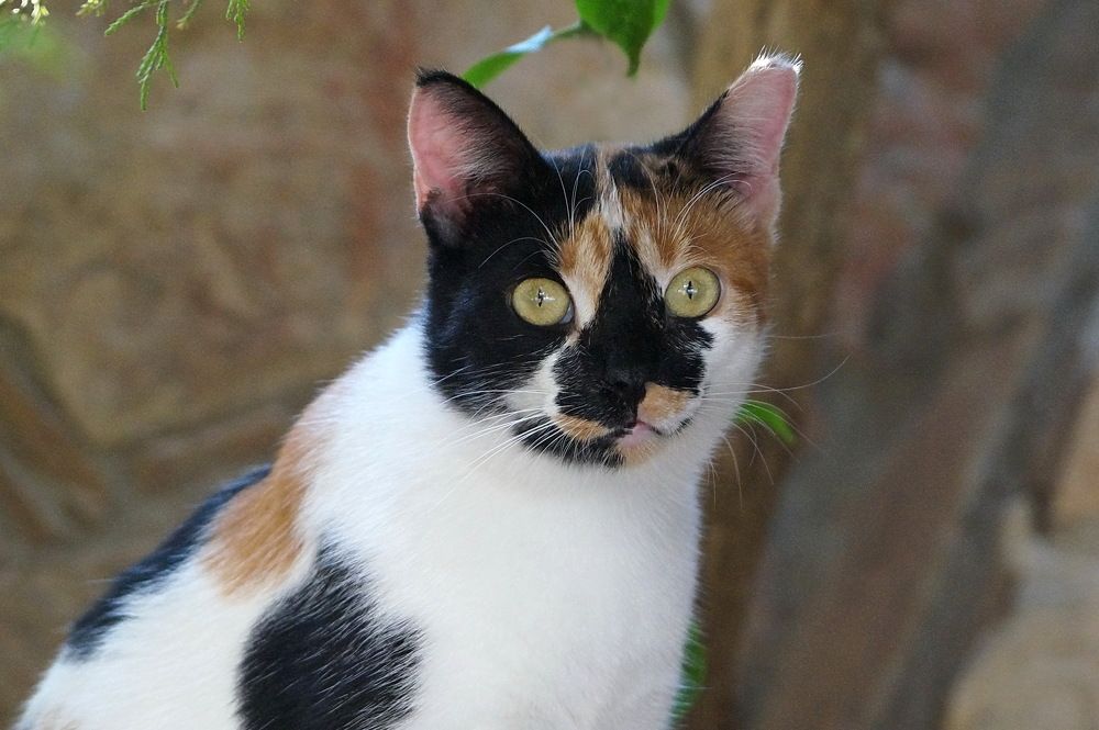 Photograph by Галина Кан