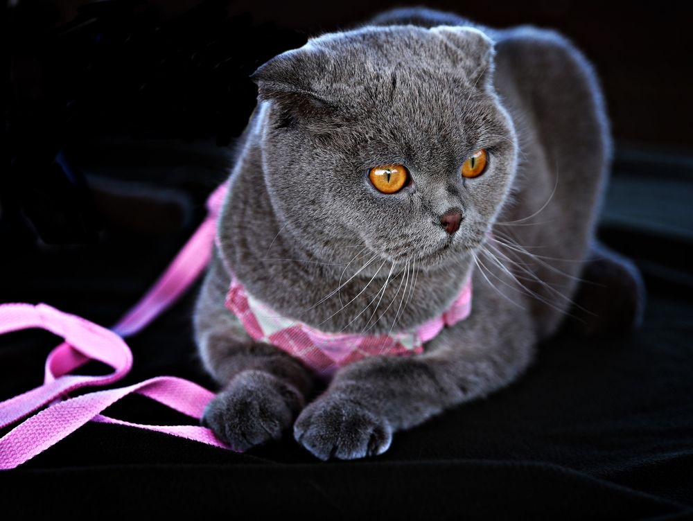 Photograph by Esin Sağır