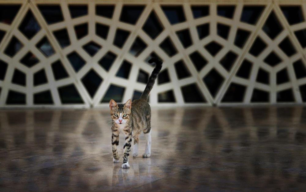 Photograph by Esin Sağır