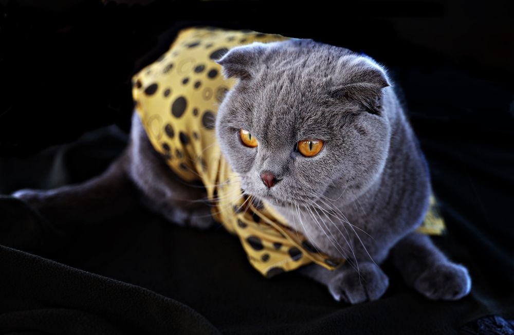 Photograph by Esin Sağır