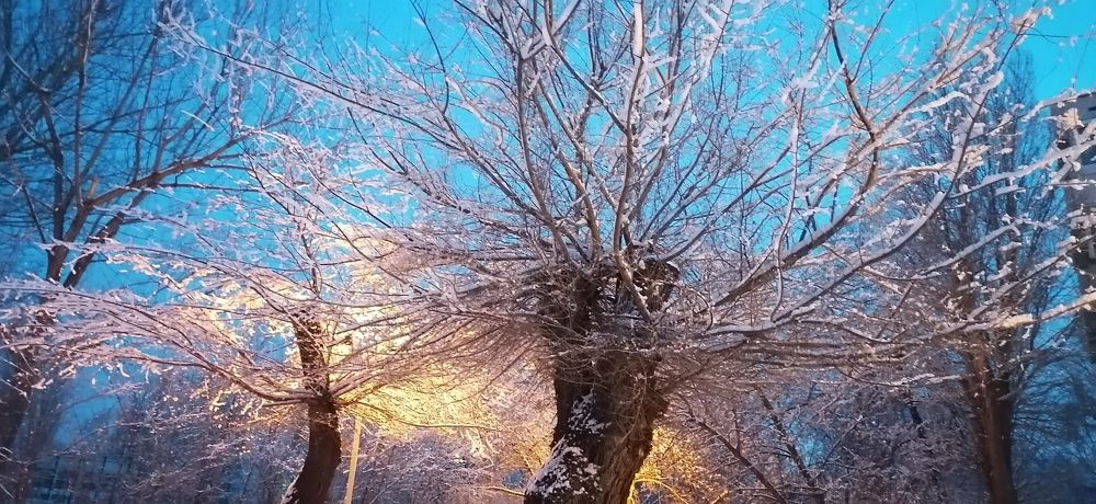 Photograph by Любовь Панфилова